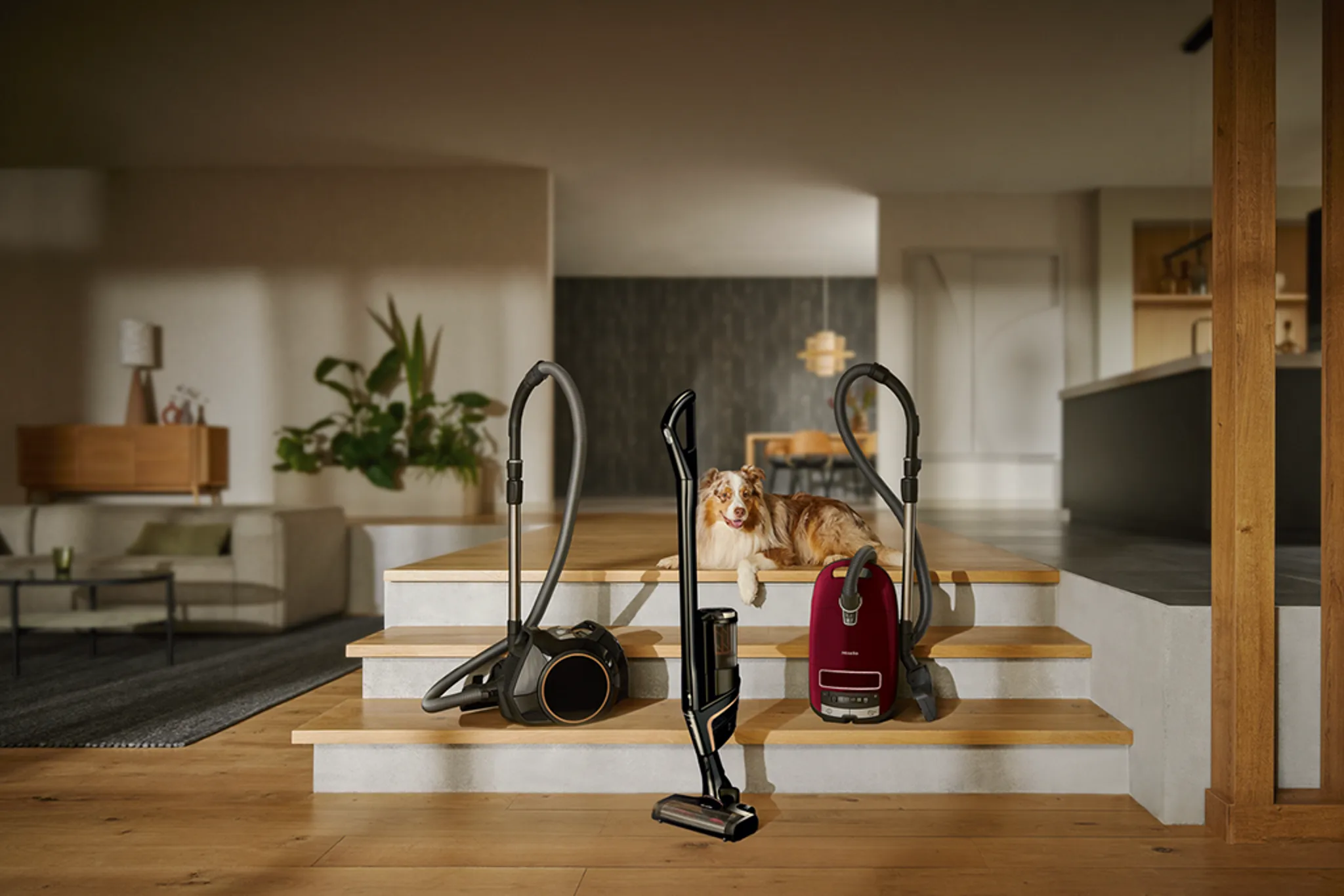 Three Miele vacuums on timber steps in a living room — a bagless cylinder, a cordless stick and a red bagged cylinder — with a dog resting behind them